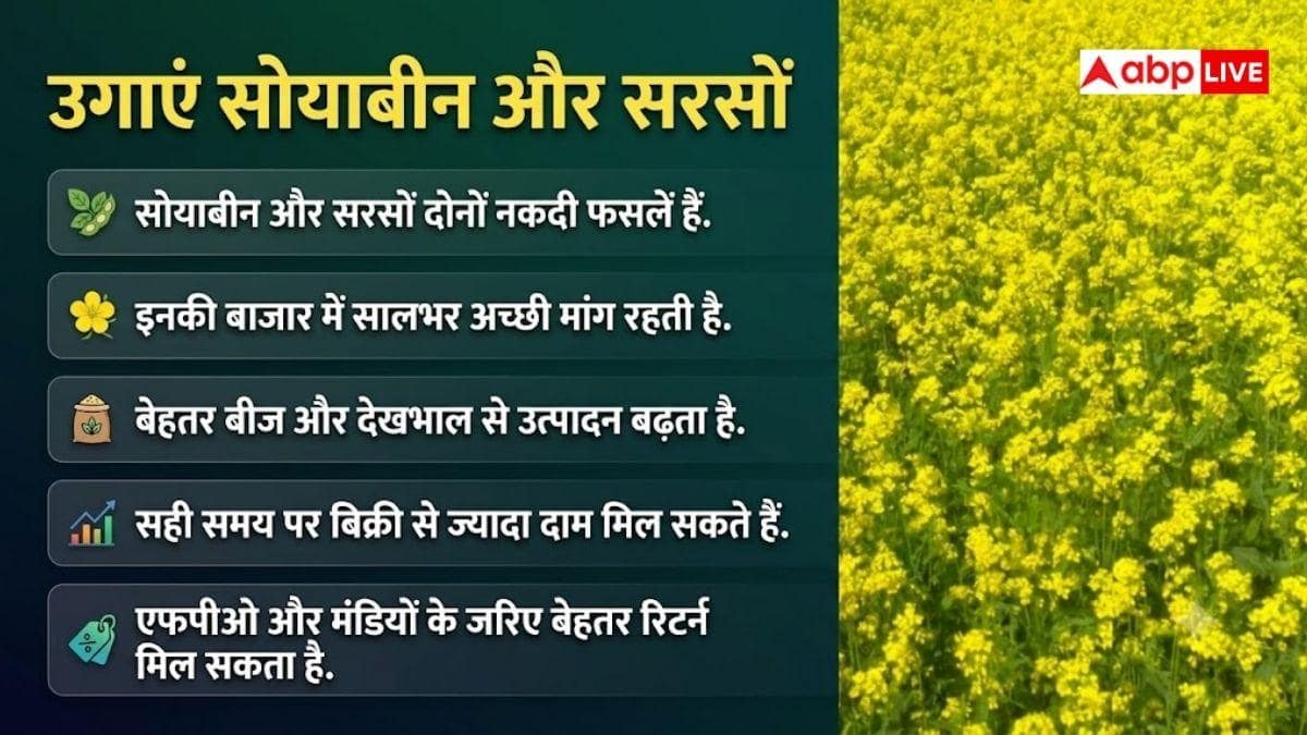 मध्यप्रदेश-राजस्थान के किसान ध्यान दें, इन फसलों में सबसे ज्यादा मुनाफा
