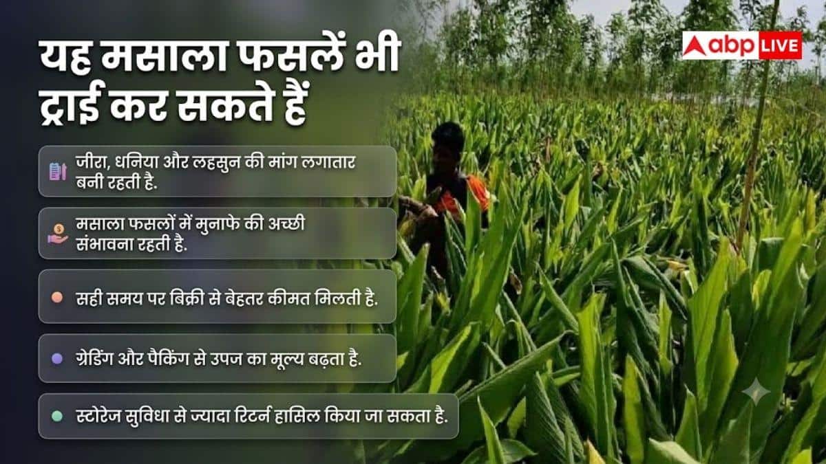 मध्यप्रदेश-राजस्थान के किसान ध्यान दें, इन फसलों में सबसे ज्यादा मुनाफा