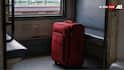 Oozing Blood, Foul Smell: Body Parts Found In Trolley Bag On Tamil Nadu Express At Agra Station