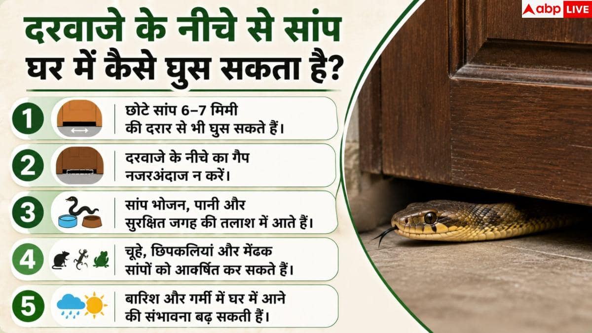 Snake Prevention: इतनी संकरी जगह से भी घर में घुस सकता है सांप! तुरंत करें ये काम