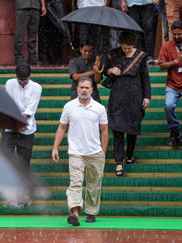 संसद से निकलते राहुल गांधी. कांग्रेस नेता इन दिनों सरकार को जंतर मंतर पर हुए लाठीचार्ज के मुद्दे पर घेर रहे हैं.