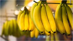 Banana Benefits : రోజుకు 2 అరటిపండ్లు తింటే ఏం జరుగుతుంది? గుండె నుంచి జీర్ణక్రియ వరకు 8 ఆరోగ్య ప్రయోజనాలు