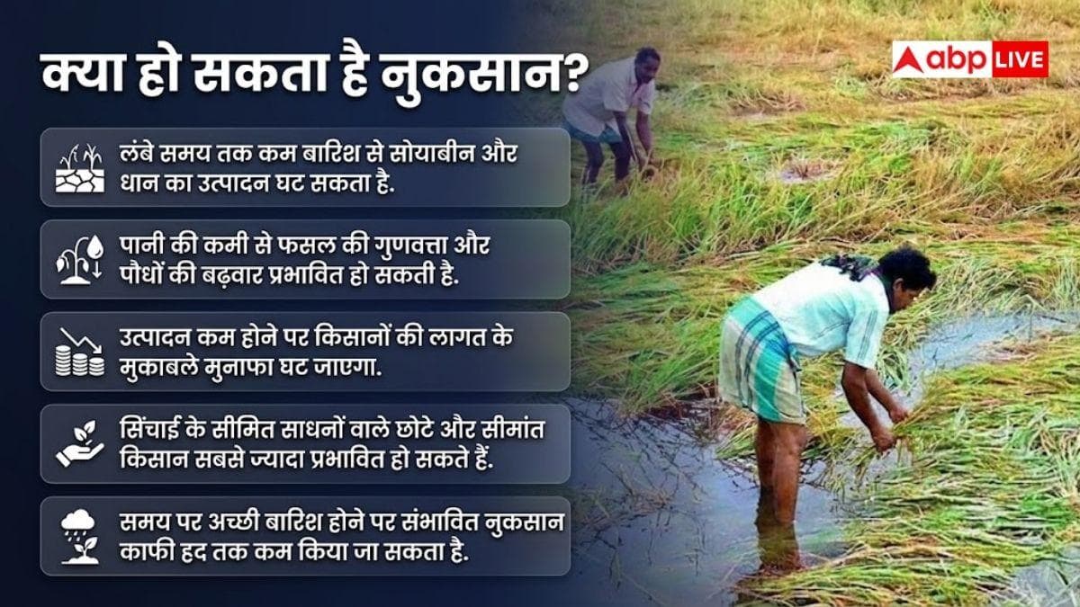 एमपी में 19 पर्सेंट कम बारिश, धान-सोयाबीन की फसलों पर संकट