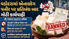 વડોદરામાં એનાલોગ પનીર પર પ્રતિબંધ બાદ મોટી કાર્યવાહી,  362 કિલો જથ્થો ઝડપાયો