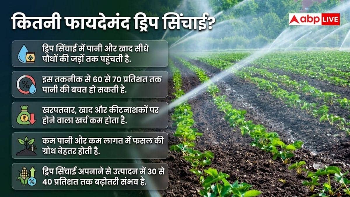 ड्रिप सिंचाई से बदल जाएगी खेती, सरकार दे रही लाखों की मदद