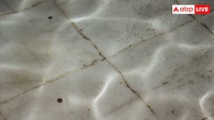 Tile Cleaning Tips: पीली हो गई है सफेद टाइल्स, बिना मेहनत ऐसे करें साफ