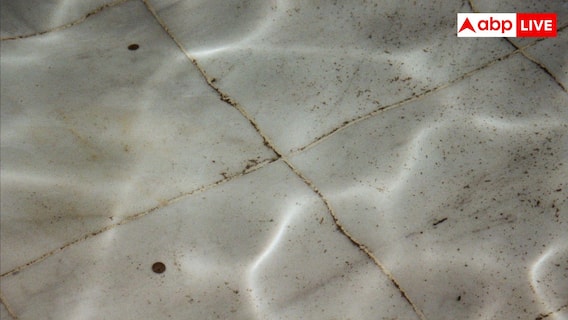 Tile Cleaning Tips: पीली हो गई है सफेद टाइल्स, बिना मेहनत ऐसे करें साफ Tile Cleaning Tips: पीली हो गई है सफेद टाइल्स, बिना मेहनत ऐसे करें साफ
