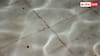 Tile Cleaning Tips: पीली हो गई है सफेद टाइल्स, बिना मेहनत ऐसे करें साफ