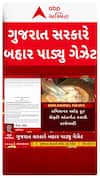 Analogue Paneer : ગુજરાત સરકારે એનાલોગ પનીરને લઈ બહાર પાડ્યું ગેઝેટ