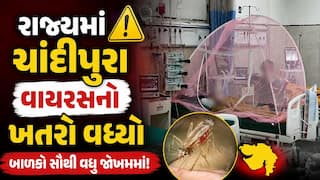 રાજ્યમાં ચાંદીપુરા વાયરસનો કહેર, અત્યાર સુધીમાં 22નાં મૃત્યુ, 35 એક્ટિવ કેસ, ICMRએ ગાઇડલાઇન કરી જાહેર