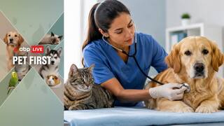 Pet First | 10 Warning Signs Your Furry Baby Needs Immediate Veterinary Care