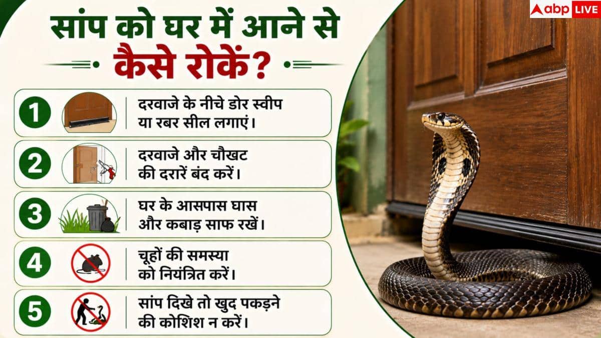 Snake Prevention: इतनी संकरी जगह से भी घर में घुस सकता है सांप! तुरंत करें ये काम