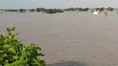 बाढ़ का मुआवजा लेने के लिए कितने दिन का समय देती है सरकार, जानें नियम