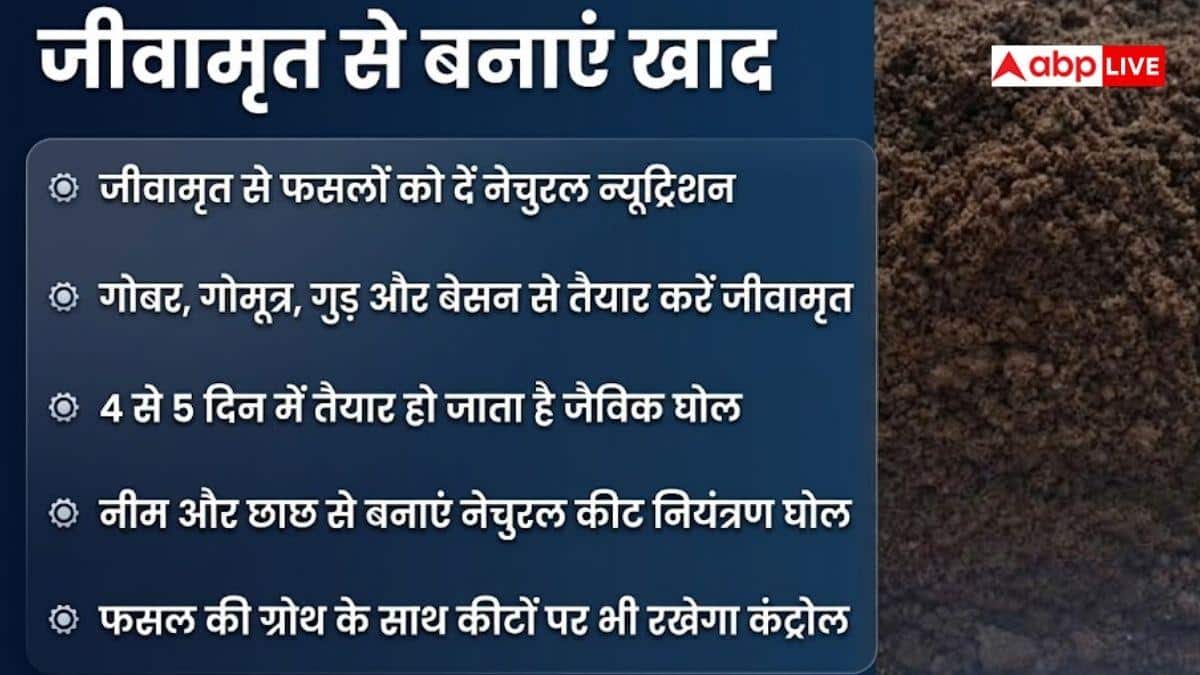 केमिकल खाद छोड़िए अब घर पर बनाइए देसी खाद, जान लें तरीके