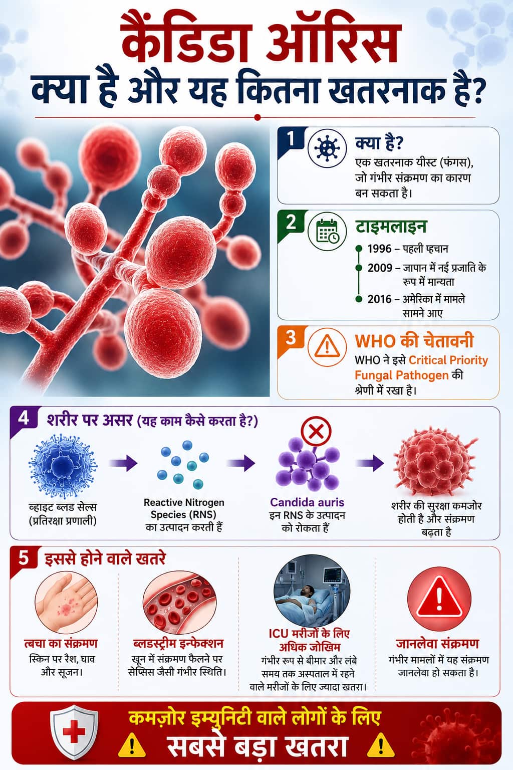 Xप्लेन: US के 27 राज्यों में कैंडिडा ऑरिस का प्रकोप, कितना खतरनाक है ये फंगस, क्या है लक्षण