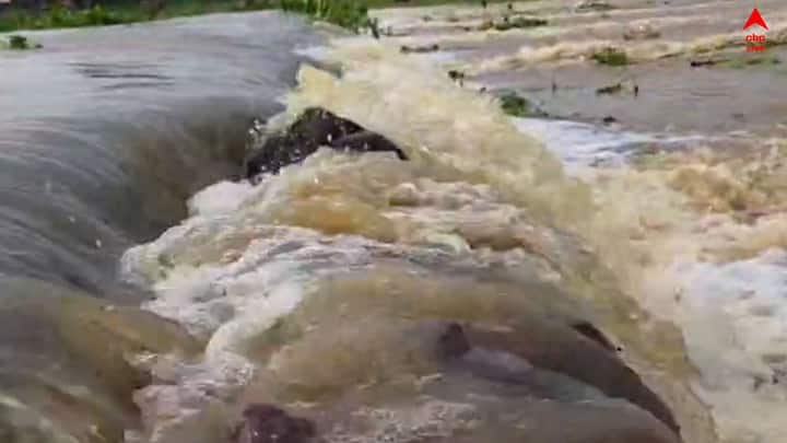 জলপাইগুড়ির চন্দনিডাঙা বাসিন্দা সরস্বতী দাস বলেন, খুবই খারাপ অবস্থায় আছি। জলের এত বান, ভেসে যাচ্ছে। সবকিছু ভেসে যাচ্ছে। আর খাওয়াদাওয়ারও কোনও ব্যবস্থা নেই। কী করে আমরা এইভাবে থাকব বলতো? বাচ্চাগুলো না খেয়ে আছে।