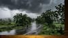 Weather Forecast: દેશના 15 રાજ્યોમાં ભારે વરસાદની આગાહી, IMDનું એલર્ટ જાહેર