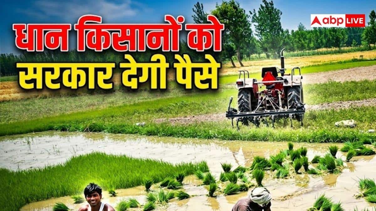 कृषक उन्नति योजना से बदलेगी किसानों की तकदीर, ऐसे उठाएं फायदा