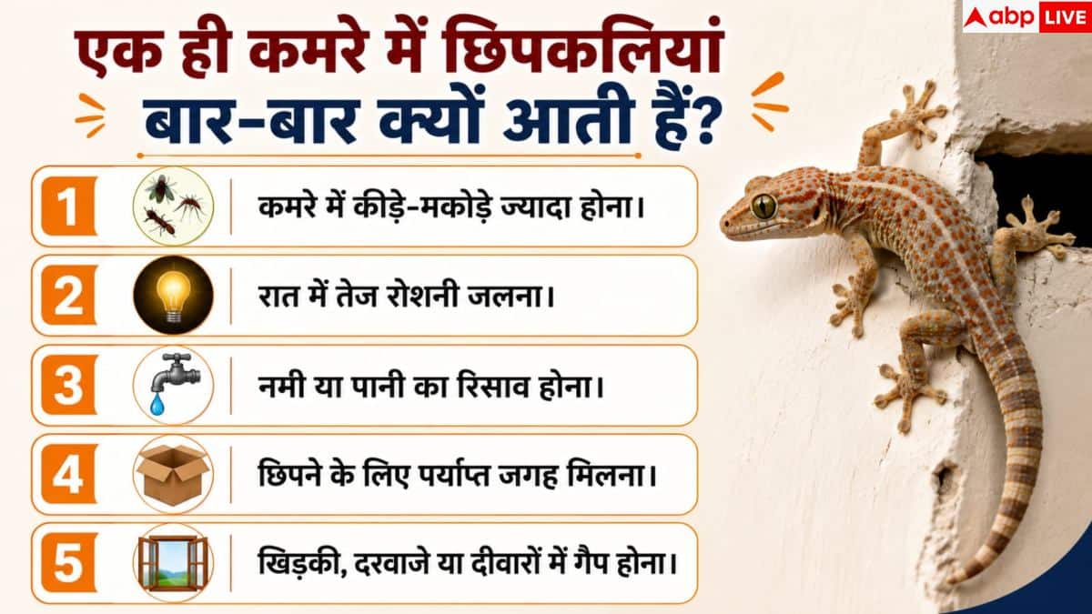 क्या आपके कमरे में भी आती हैं छिपकलियां? जानें भगाने का सही तरीका
