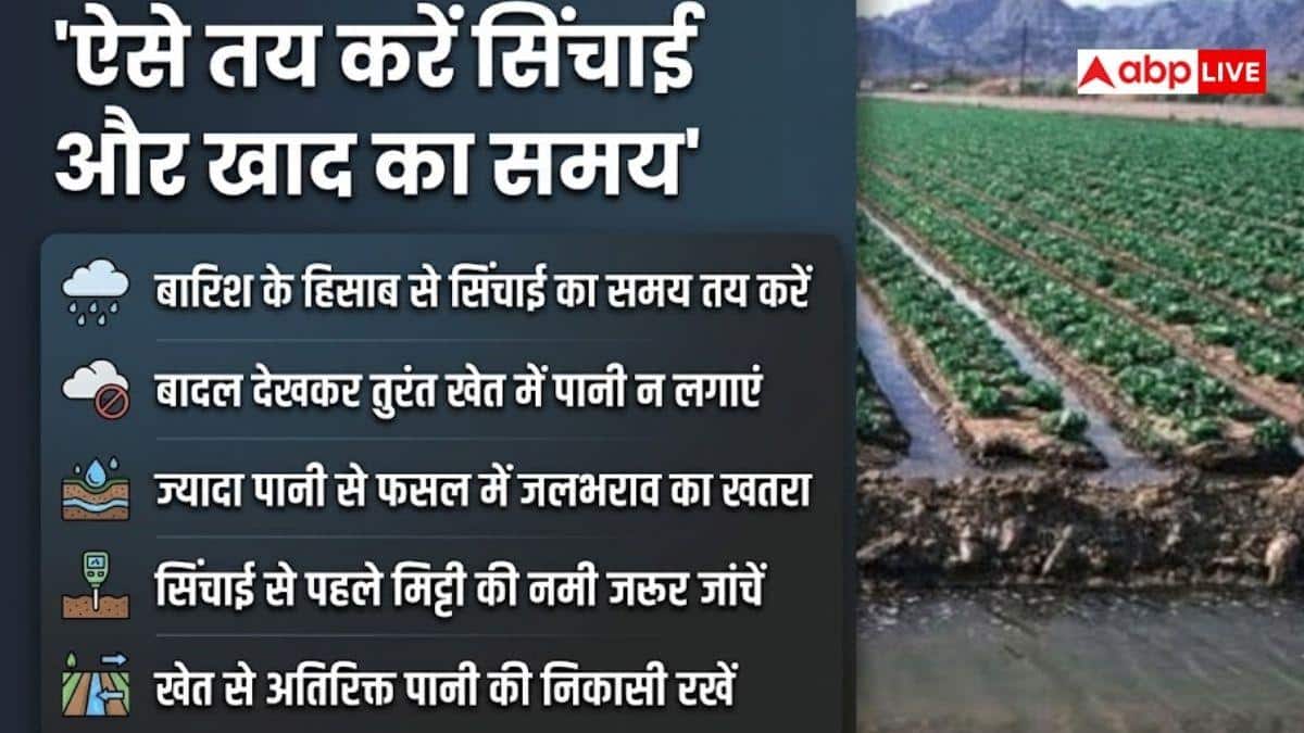IMD का ताजा अपडेट, बारिश देखकर बदलें खाद और सिंचाई का शेड्यूल