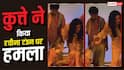 फिल्मी कुत्ते के काटने से बाल-बाल बची रवीना टंडन, स्टेज पर हुआ कुछ ऐसा, Video वायरल
