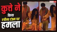Video: फिल्मी कुत्ते के काटने से बाल-बाल बची रवीना टंडन, स्टेज पर हुआ कुछ ऐसा