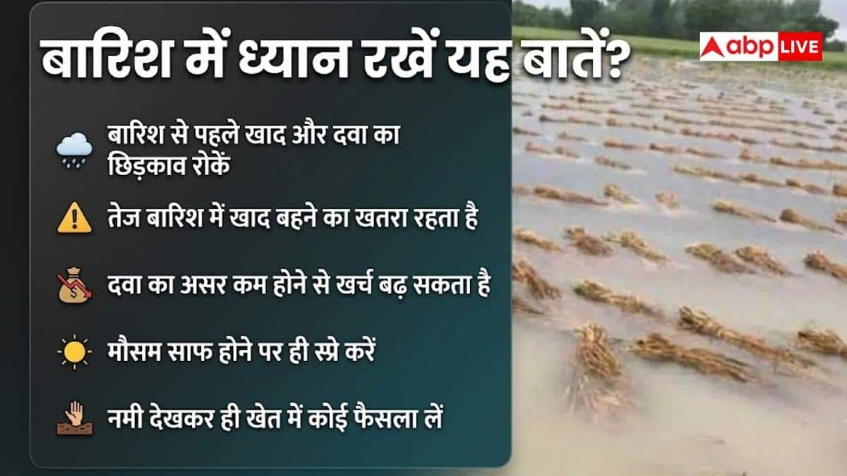 IMD का ताजा अपडेट, बारिश देखकर बदलें खाद और सिंचाई का शेड्यूल