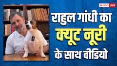 राहुल गांधी ने 'नूरी' के साथ बनाया वीडियो, फिर बोले- 'मां सोनिया होंगी नाराज'