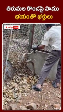 తిరుమల కొండపై పాము భయంతో భక్తులు