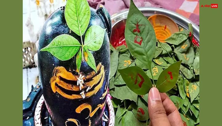 घर में तुलसी और हरसिंगार का पौधा भी हरियाली अमावस्या पर लगा सकते हैं. तुलसी लक्ष्मी जी को और हरसिंगार श्रीकृष्ण को अति प्रिय है. इनके प्रभाव से धन, संपन्नता बनी रहती है.