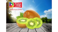 The Rise Of Premium Imported Fruits: How Chilean Kiwifruit May Fit Into India's Evolving Food Choices