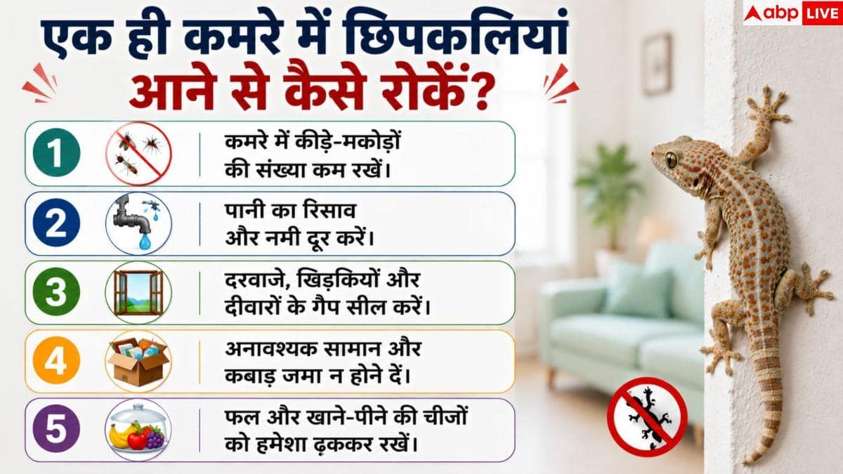 क्या आपके कमरे में भी आती हैं छिपकलियां? जानें भगाने का सही तरीका