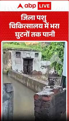 ज़िले के पशु चिकित्सालय में घुटने तक पानी भरा हुआ है।