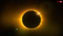 Hariyali Amavasya 2026: हरियाली अमावस्या पर ग्रहण का साया! पौधे लगाएं या नहीं, जान लें नियम