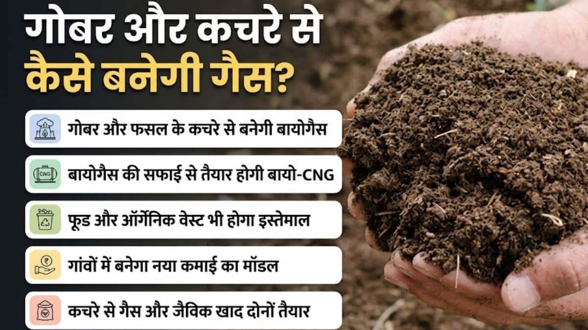 E20 के बाद बायो-CNG की तैयारी, गोबर से बनेगी क्लीन एनर्जी
