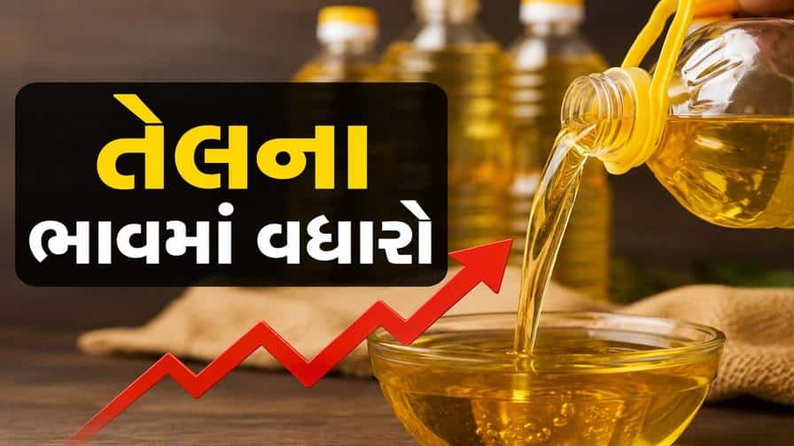 તહેવારો પહેલાં ખાદ્યતેલમાં ભાવ વધારો!