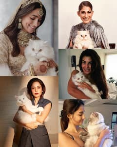 International Cat Day 2026: इन बॉलीवुड एक्ट्रेसेस की फेवरेट हैं उनकी बिल्लियां, कहलाती हैं 'कैट मॉम्स'