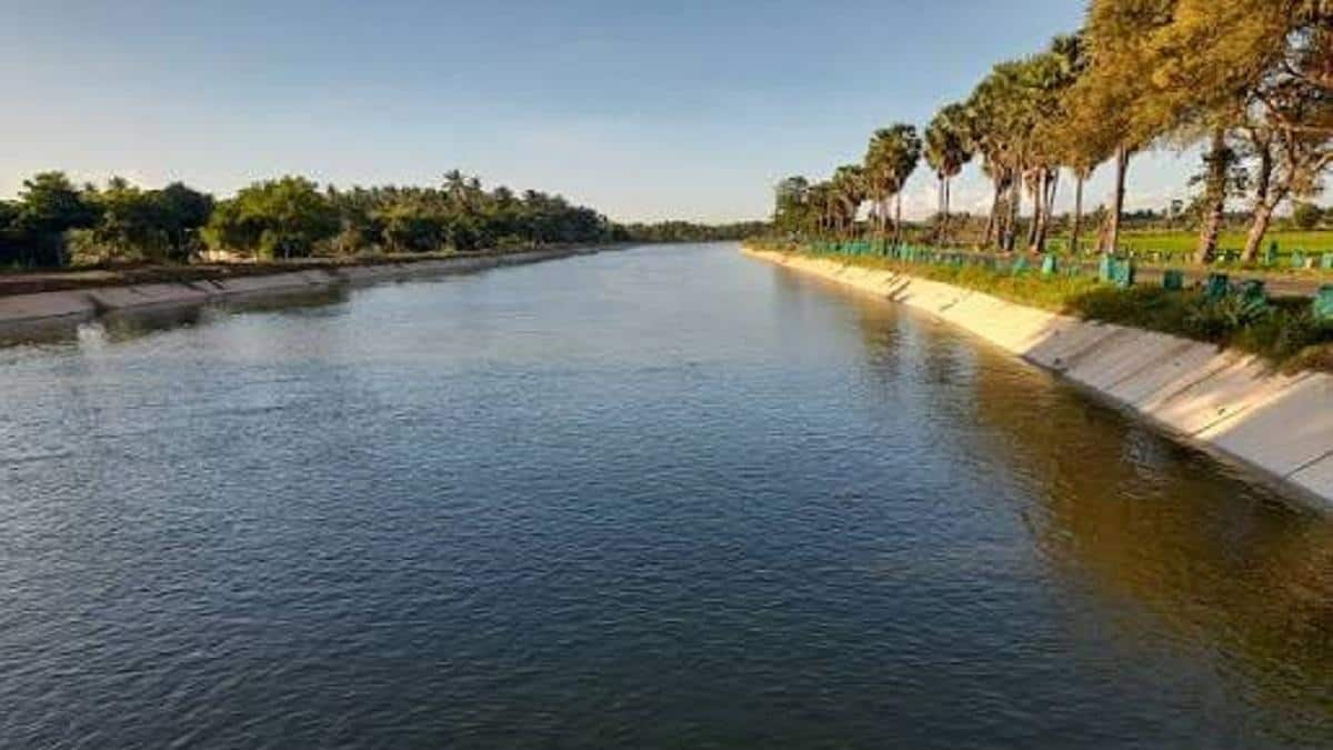 337 கிளை வாய்க்கால்களின் மொத்த நீளம் 1,232 கி.மீ... 88 ஆண்டுகள் நிறைவு: செயற்கை ஆறான புது ஆற்றின் பின்னணி