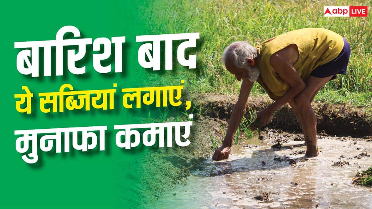 Vegetables After Monsoon Farming : बरसात खत्म होते ही खेत में लगाएं ये सब्जियां, जमकर होगा मुनाफा