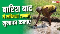 बरसात खत्म होते ही खेत में लगाएं ये सब्जियां, जमकर होगा मुनाफा