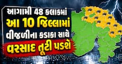 આગામી 48 કલાકમાં આ 10 જિલ્લામાં વીજળીના કડાકા સાથે વરસાદ તૂટી પડશે, જાણો IMD ની આગાહી