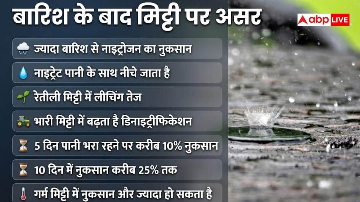 बारिश के बाद मिट्टी में नाइट्रोजन क्यों कम हो जाती है, इससे कितना नुकसान?