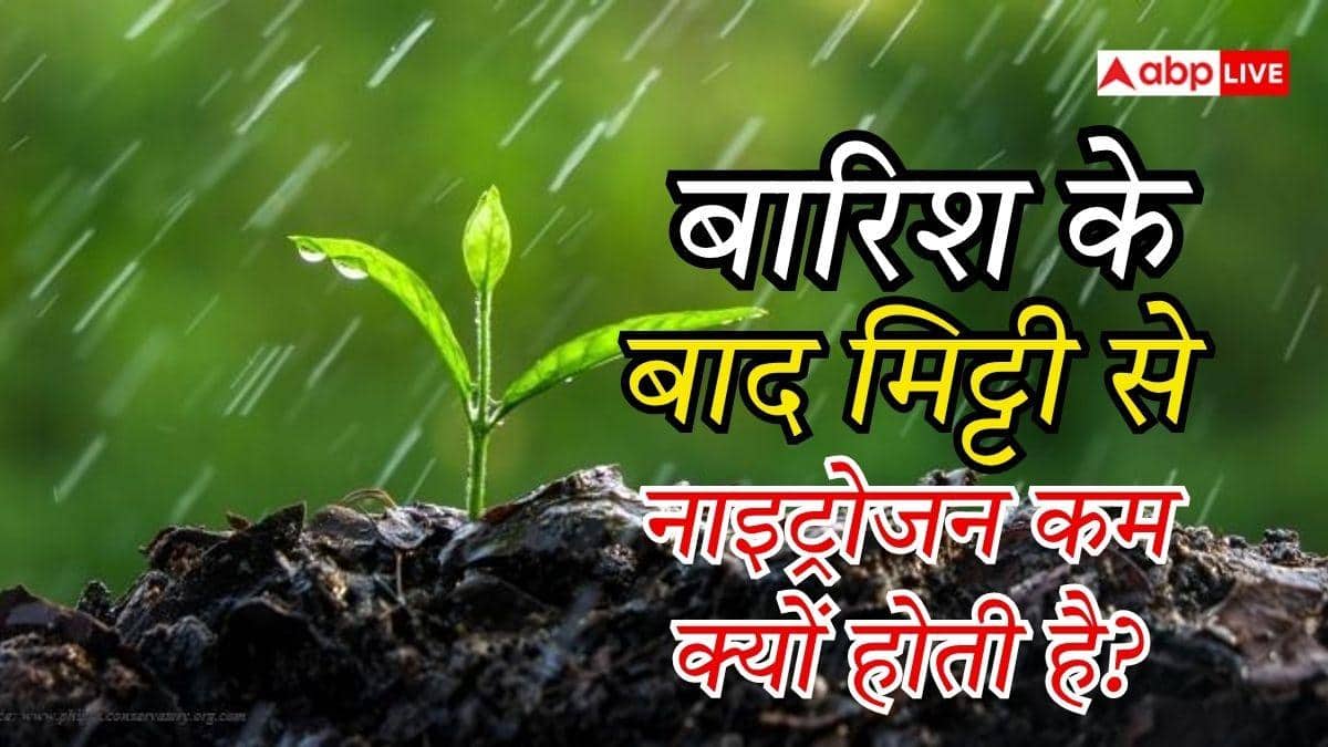 बारिश के बाद मिट्टी में नाइट्रोजन क्यों कम हो जाती है, इससे कितना नुकसान?