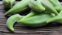Growing Bhindi at Home: भिंडी की फली टेढ़ी क्यों हो जाती है? नोट कर लें किचन गार्डनिंग टिप्स