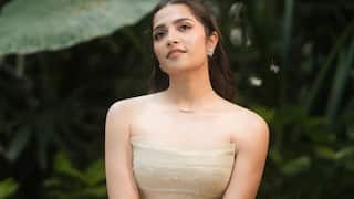 Rukmini Vasanth : అందాల రుక్మిణి వసంతమ్ - టాక్సిక్ బ్యూటీ స్టైలిష్ మెస్మరైజ్ లుక్