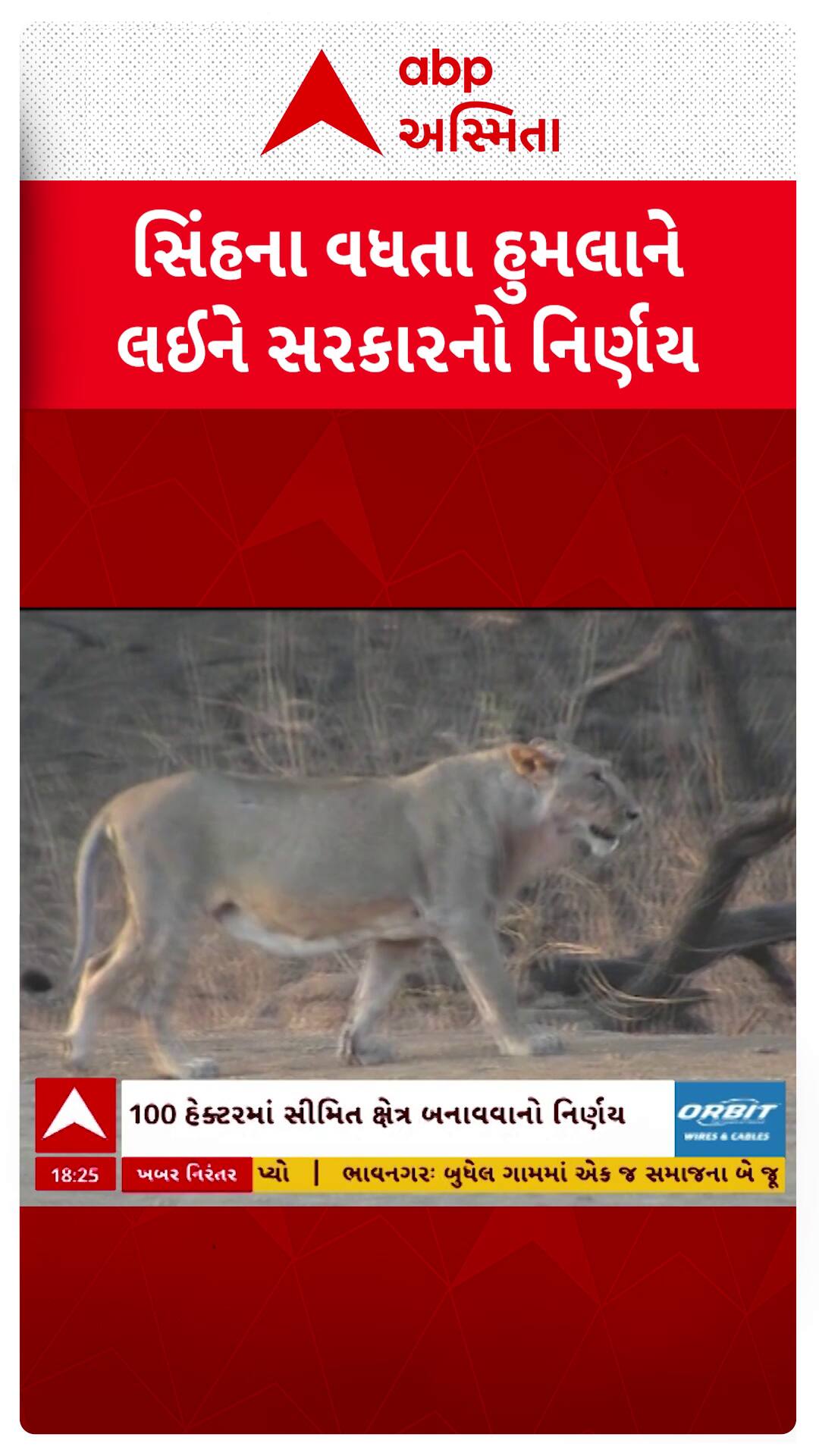 Gandhinagar news: સિંહના વધતા હુમલાને લઈને સરકારનો મોટો નિર્ણય