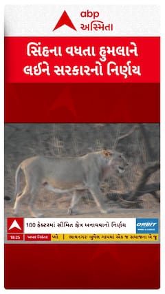 Gandhinagar news: સિંહના વધતા હુમલાને લઈને સરકારનો મોટો નિર્ણય
