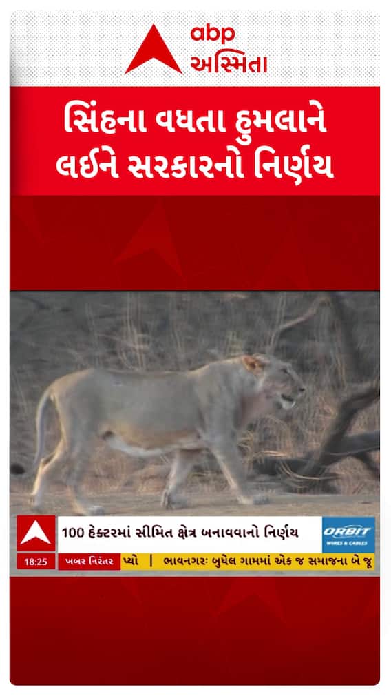 Gandhinagar news:  સિંહના વધતા હુમલાને લઈને સરકારનો મોટો નિર્ણય