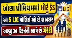 ઓછા પ્રીમિયમમાં મોટું ફંડ: આ 5 LIC પોલિસીઓ છે શાનદાર, આજીવન રિટર્નની આપે છે ગેરંટી