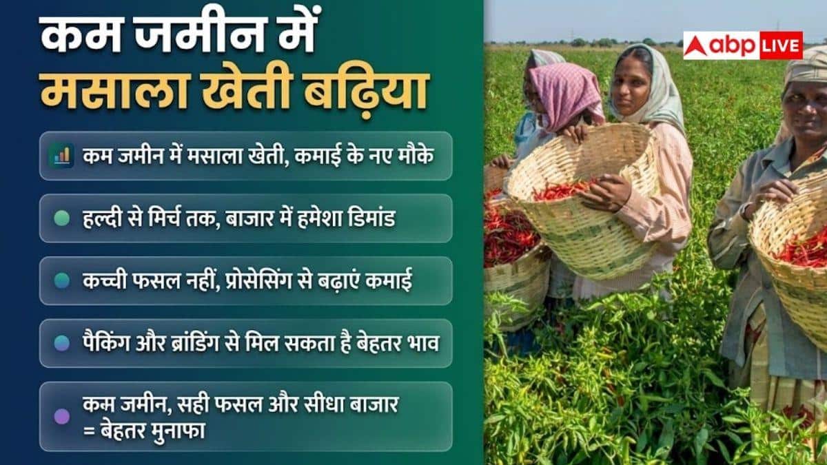 मसाले, औषधीय पौधे या फूल... कम जमीन में ज्यादा मुनाफा किसमें?
